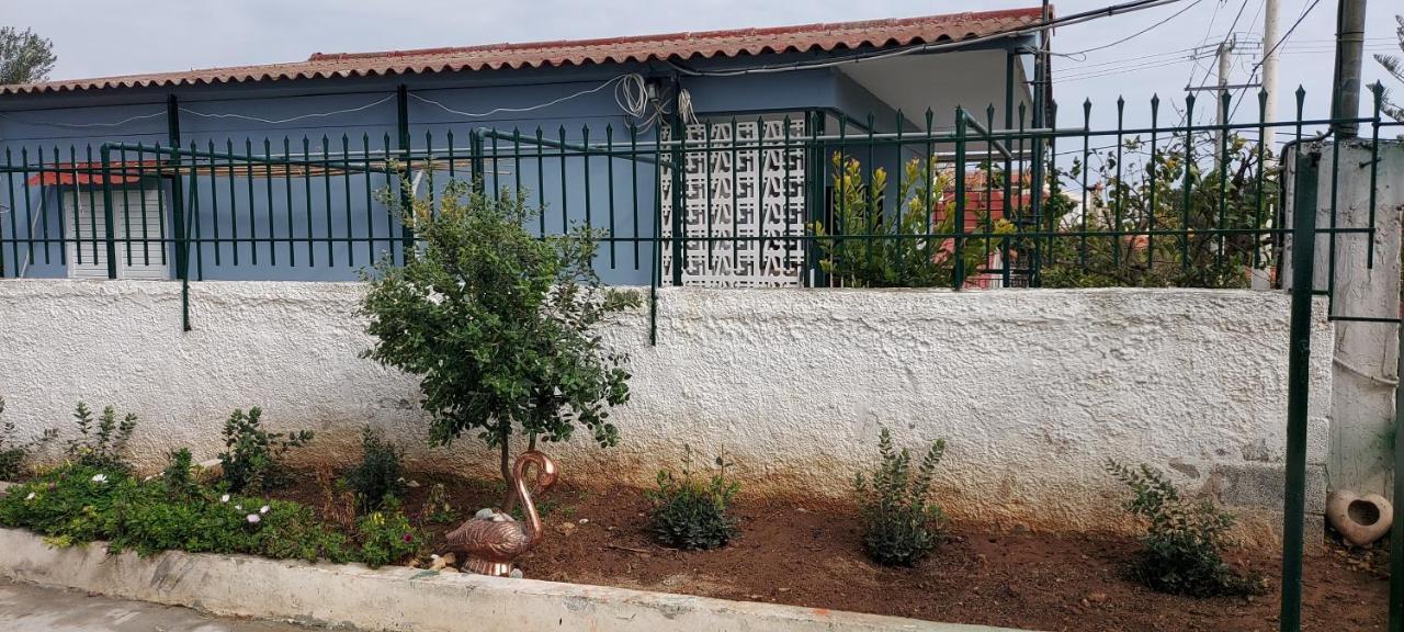 Elena'S Family House Apartment Artemida  Exterior photo